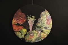 Fotografija: Božo Rakočević