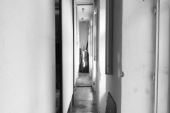 pesak_info_02