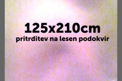 pesak_info_03