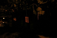 Foto: Nina Pernat