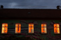 Foto: Božo Rakočević