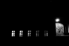 Fotografija: Božo Rakočević