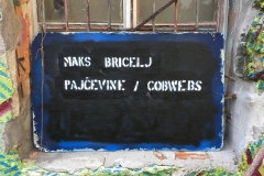 Fotografija: Božo Rakočević