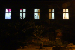 Foto: Božo Rakočević