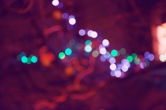 Fotografija: Urška Preis