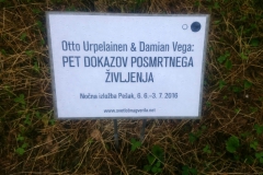 OTTO URPELAINEN & DAMIÁN VEGA VELASCO: PET DOKAZOV POSMRTNEGA ŽIVLJENJA