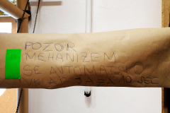 Foto: Božo Rakočević