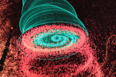 Tim-Kropivsek-Nano-favna_37